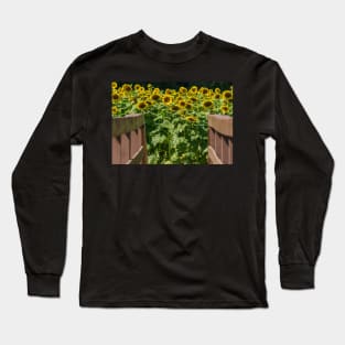 Into the Sunflowers Long Sleeve T-Shirt